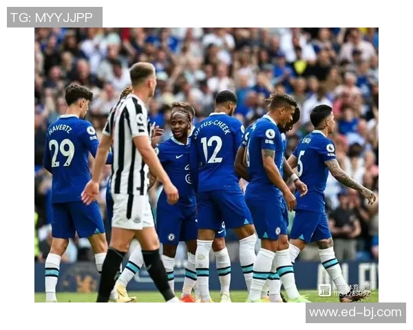 杭州排球队状态引发热议球迷与专家观点大相径庭