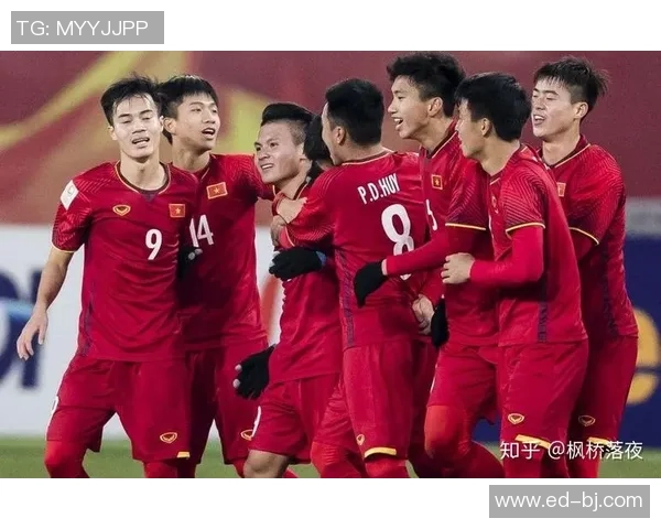 深圳排球队中路突破革新引领战术变革助力球队崛起